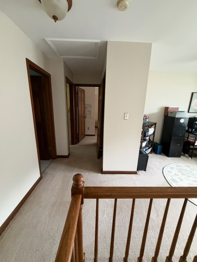 Finished cleaning service photo 8 of 20